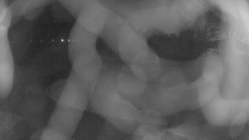 Zámecké koupaliště Holešov