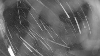 Zámecké koupaliště Holešov