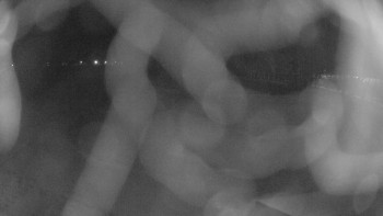 Zámecké koupaliště Holešov