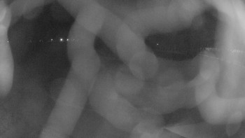 Zámecké koupaliště Holešov