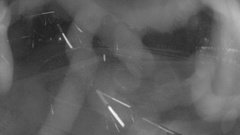 Zámecké koupaliště Holešov