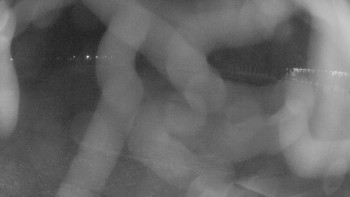 Zámecké koupaliště Holešov