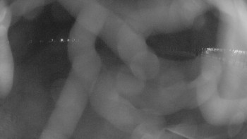 Zámecké koupaliště Holešov