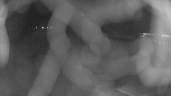 Zámecké koupaliště Holešov