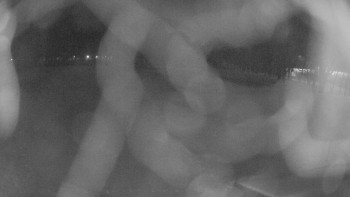 Zámecké koupaliště Holešov