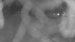 Areál koupaliště Holešov