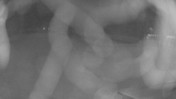 Zámecké koupaliště Holešov