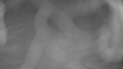 Areál koupaliště Holešov