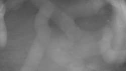 Areál koupaliště Holešov