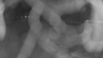 Zámecké koupaliště Holešov