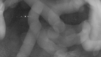 Zámecké koupaliště Holešov