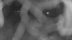 Areál koupaliště Holešov