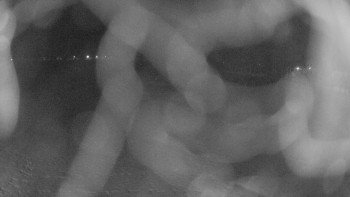 Zámecké koupaliště Holešov