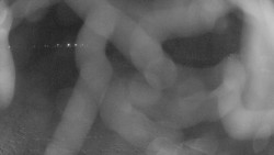 Areál koupaliště Holešov