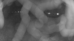 Areál koupaliště Holešov