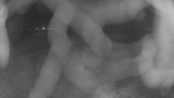 Areál koupaliště Holešov