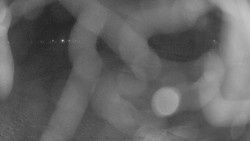 Areál koupaliště Holešov