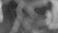 Areál koupaliště Holešov