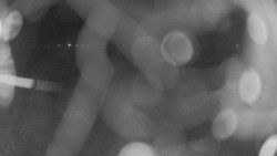 Areál koupaliště Holešov