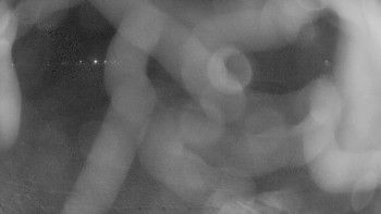 Zámecké koupaliště Holešov