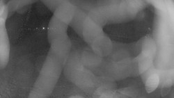 Areál koupaliště Holešov