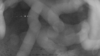 Zámecké koupaliště Holešov