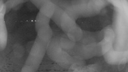 Areál koupaliště Holešov