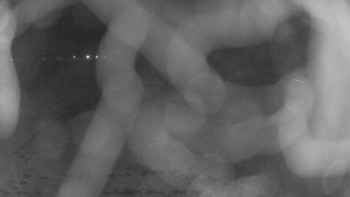 Zámecké koupaliště Holešov