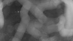 Areál koupaliště Holešov