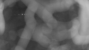 Zámecké koupaliště Holešov