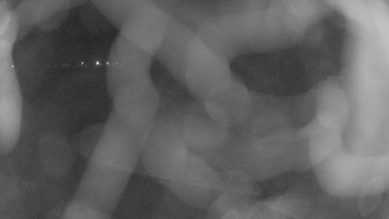 Zámecké koupaliště Holešov