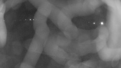 Areál koupaliště Holešov