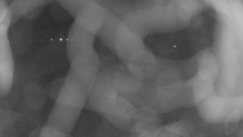 Zámecké koupaliště Holešov