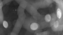 Areál koupaliště Holešov