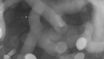 Zámecké koupaliště Holešov