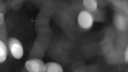 Areál koupaliště Holešov