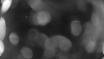 Zámecké koupaliště Holešov