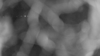 Zámecké koupaliště Holešov