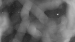 Areál koupaliště Holešov