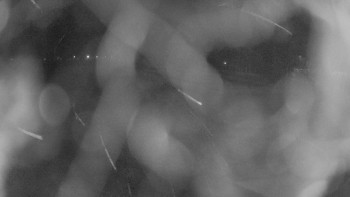 Zámecké koupaliště Holešov