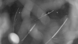 Areál koupaliště Holešov