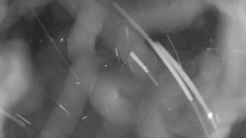 Zámecké koupaliště Holešov