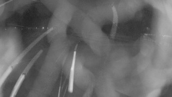 Zámecké koupaliště Holešov