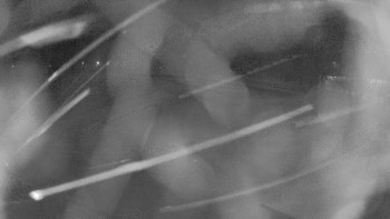 Zámecké koupaliště Holešov