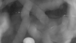 Areál koupaliště Holešov