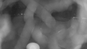 Zámecké koupaliště Holešov