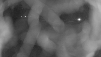 Zámecké koupaliště Holešov