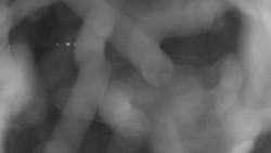 Areál koupaliště Holešov