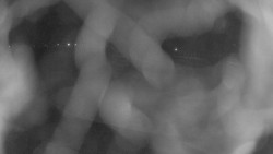 Areál koupaliště Holešov