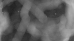 Areál koupaliště Holešov